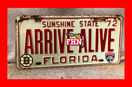 Panthers bruins