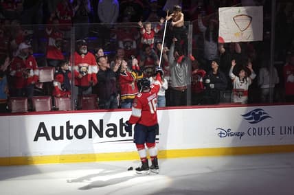 Barkov panthers