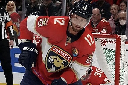 Florida panthers