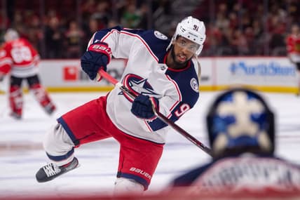 Florida Panthers Anthony Duclair
