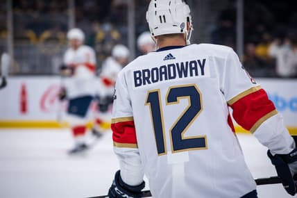 Florida panthers bruins boston