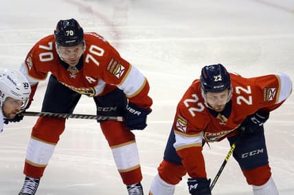 Florida panthers priskie