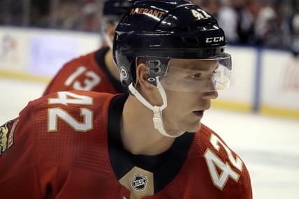 Louis florida panthers blues
