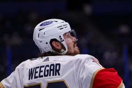 Weegar panthers mackenzie florida