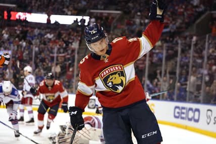 Florida panthers