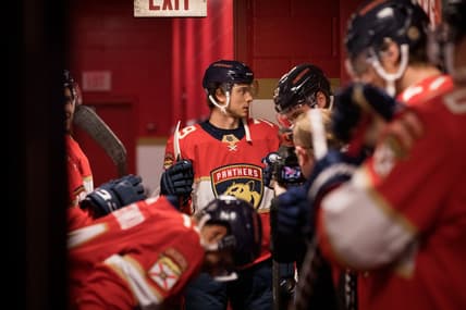 Florida panthers