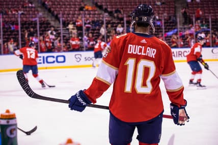 Florida panthers