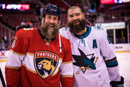 Florida panthers