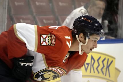 Florida panthers