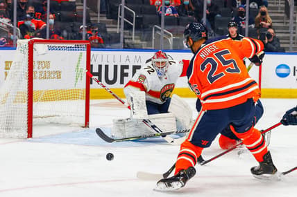 Florida panthers