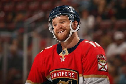 Florida panthers