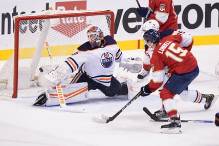 Florida panthers