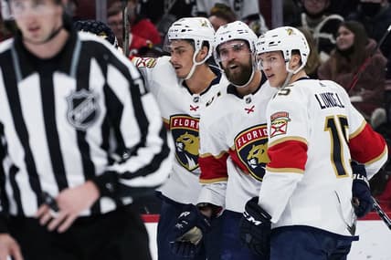 Florida panthers ekblad