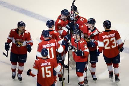 Florida panthers