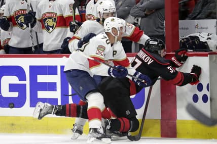 Florida panthers