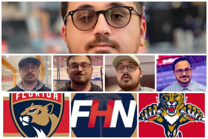 Florida panthers