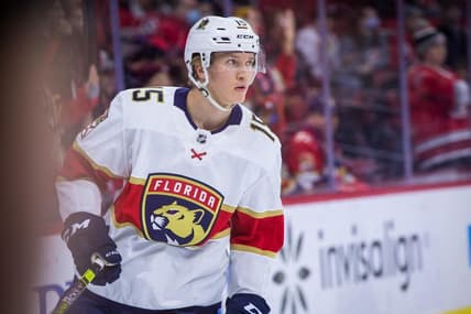 Florida panthers