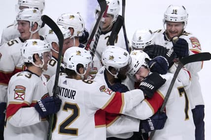 Florida panthers