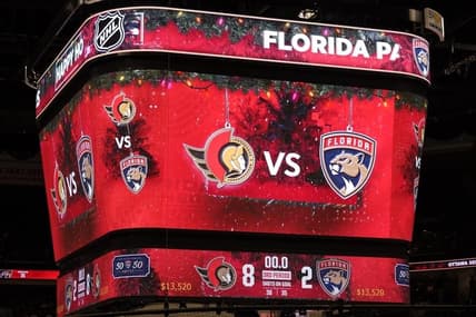 Florida panthers