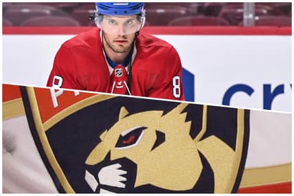 Florida panthers