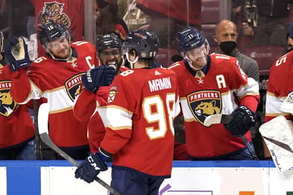Florida panthers duclair