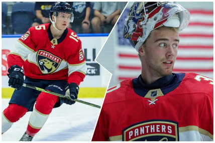 Florida panthers