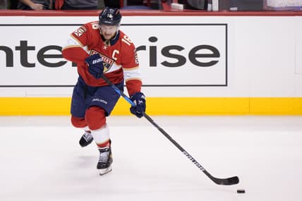 Florida panthers