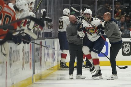 Florida panthers