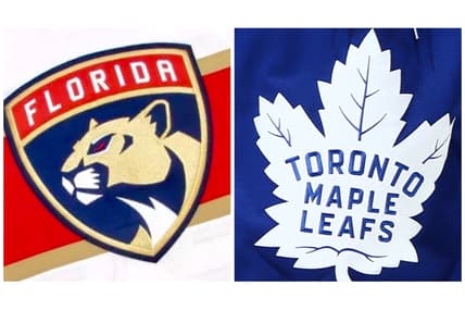 Florida panthers