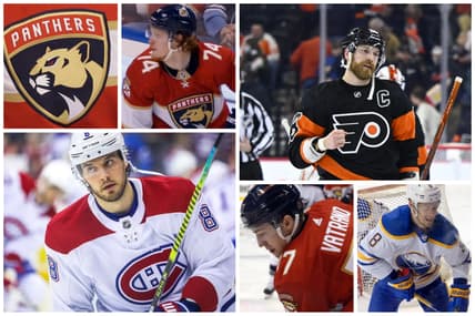 Florida panthers