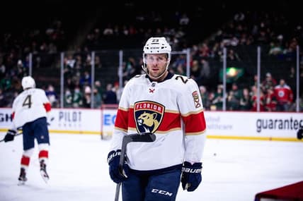Florida panthers