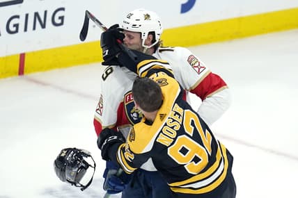 Florida panthers