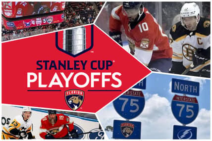 Florida panthers