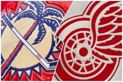 Florida panthers