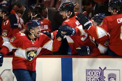 Florida panthers