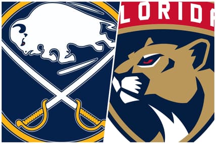 Florida panthers