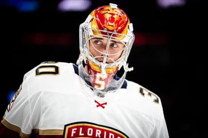 Florida panthers