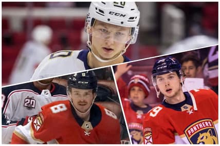 Florida panthers