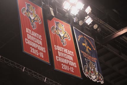 Florida panthers