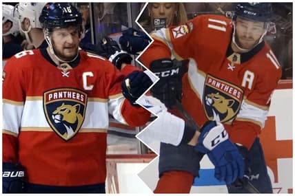 Florida panthers