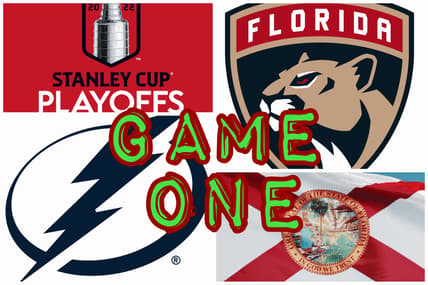 Florida panthers