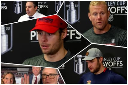Florida panthers