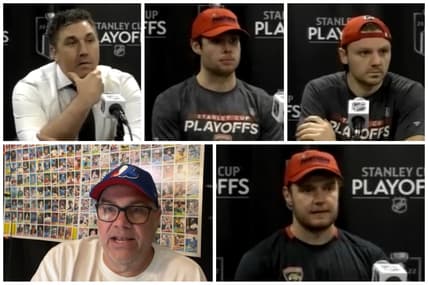 Florida panthers