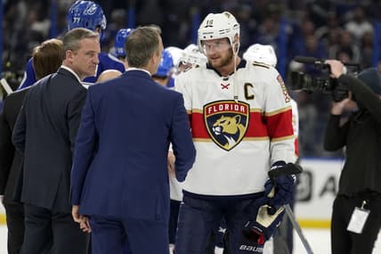 Florida panthers