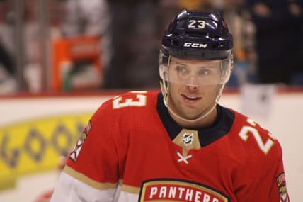 Florida panthers
