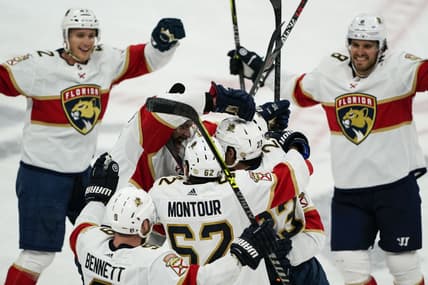 Florida panthers