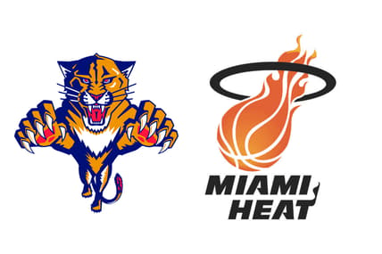 Florida panthers heat