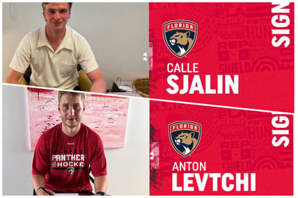 Florida panthers