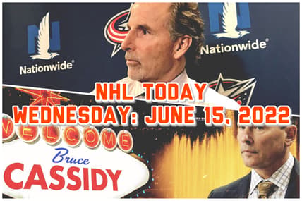 Tortorella cassidy
