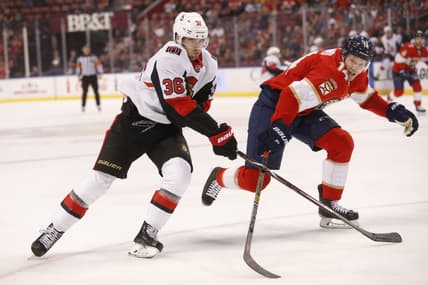 Florida panthers